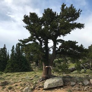 Meet your Posher, Dora